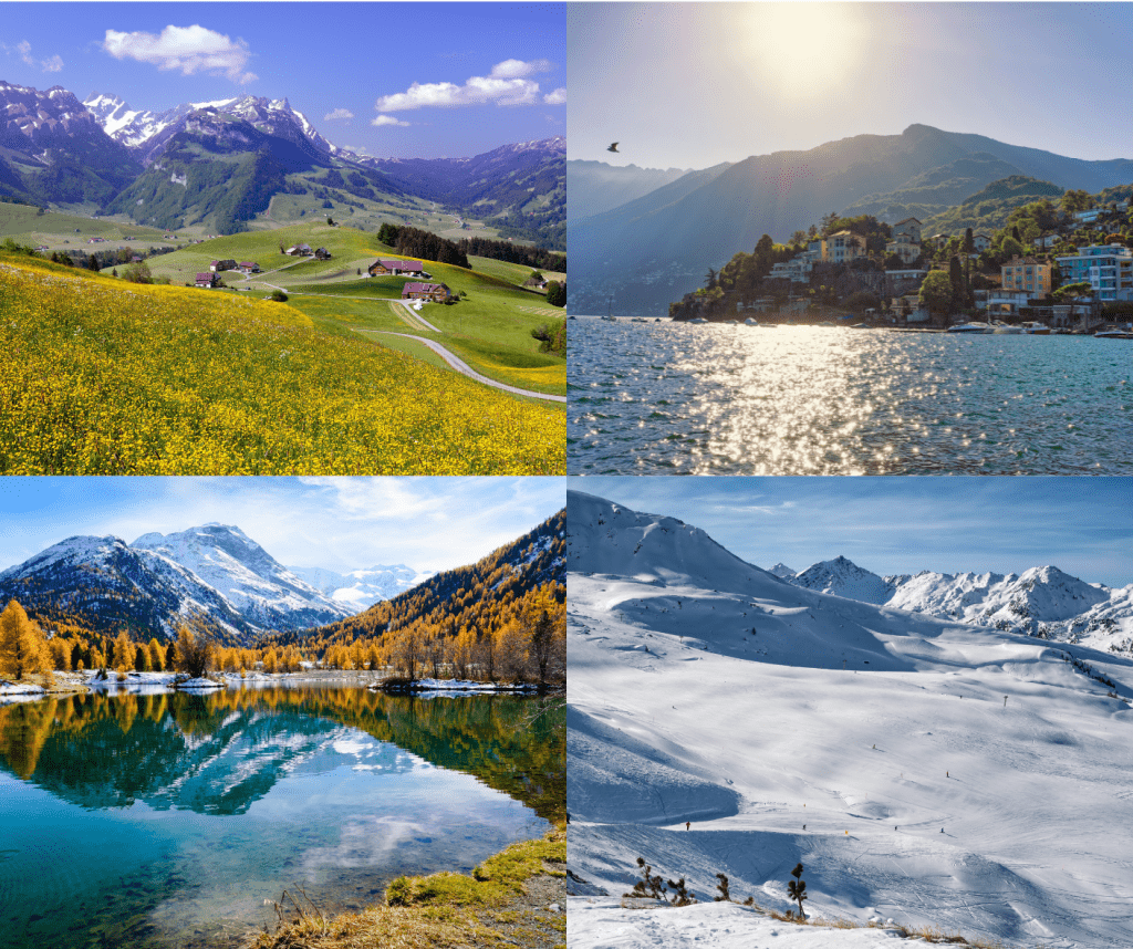 Vier seizoenen: lente, zomer, herfst winter