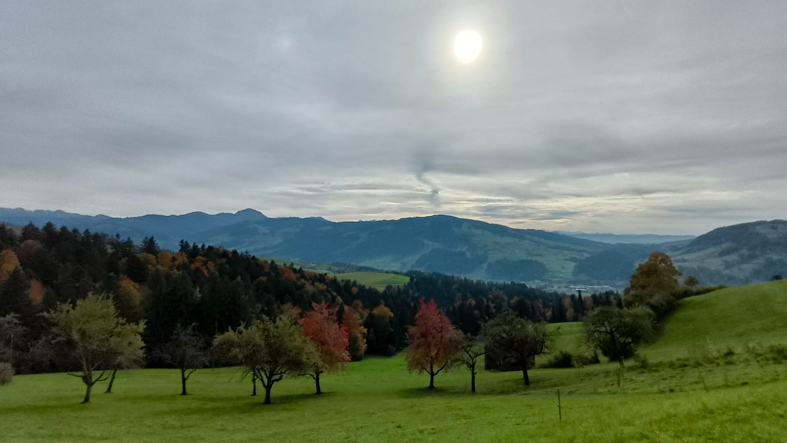 Uitzicht over de Zwitserse bergen