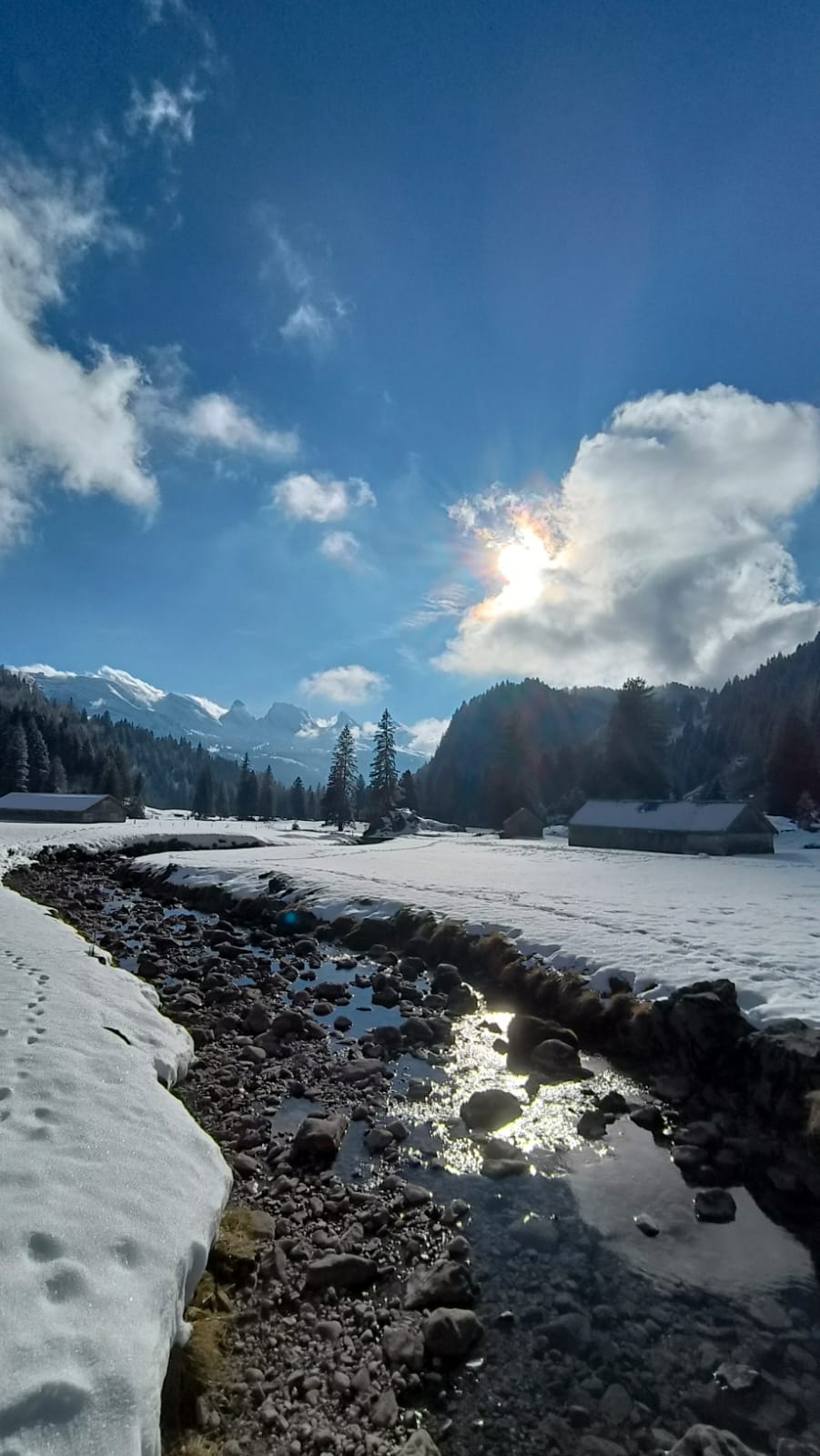 Zwitserse bergen en winterlicht